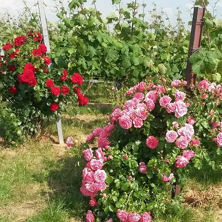 Appartement Wassergasse Kapellen-Drusweiler