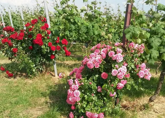 Apartamento Wassergasse Kapellen-Drusweiler