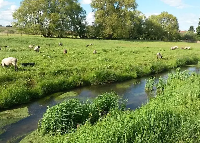 Apartamento Wassergasse *